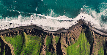 Sustainability and Deforestation Policy