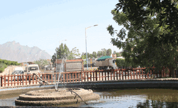 الممارسات البيئية