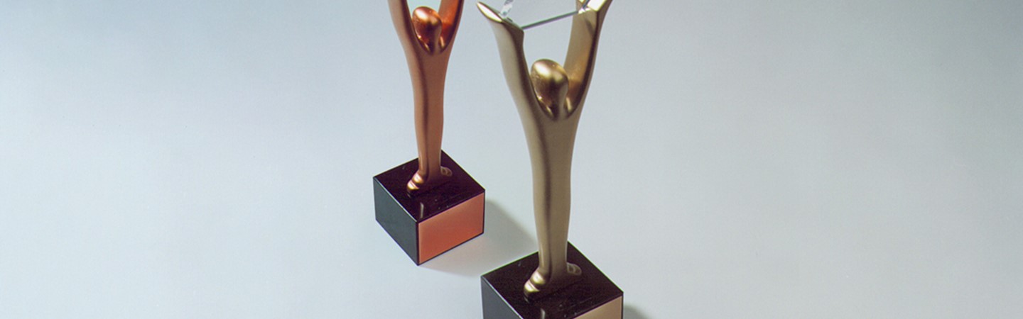 HSA Group, Yemen wins two Stevie Awards - awarded Gold for its response to COVID-19