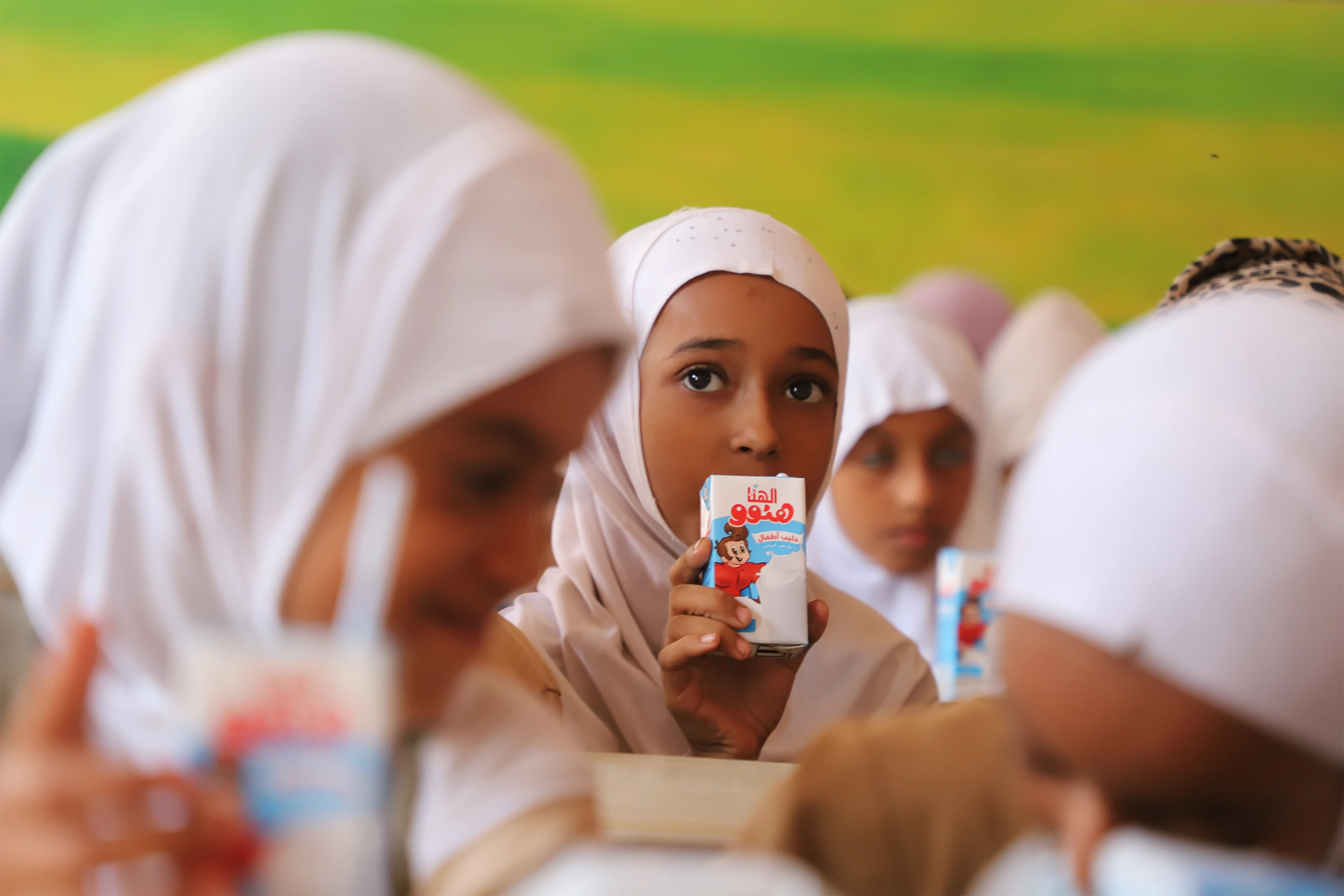 مجموعة هائل سعيد أنعم وشركاه وتتراباك تطلقان برنامجًا لدعم التغذية الآمنة في المدارس اليمنية